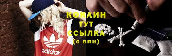 гашик Михайловск