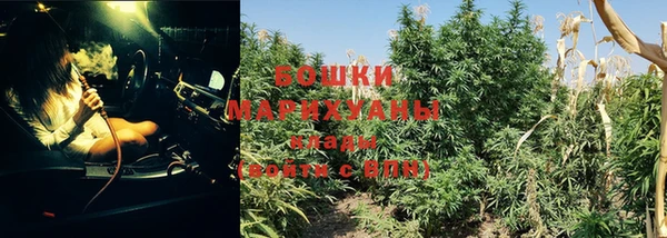 гидропоника Мегион