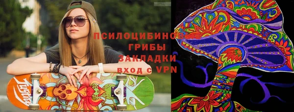 гашик Михайловск