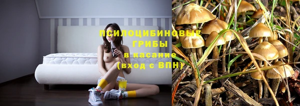 дмт Михайловка
